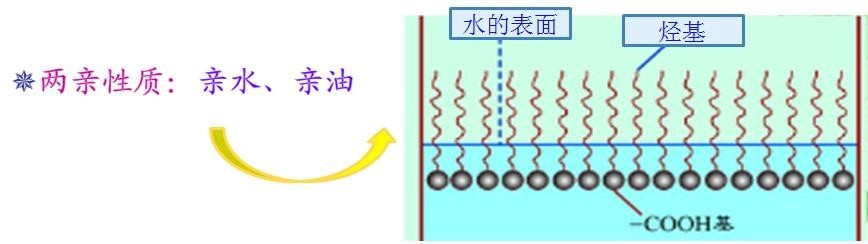 <a href='http://www.ailegame.cn/product/product-0001,0011,0018.shtml' class='keys' title='點(diǎn)擊查看關(guān)于潤(rùn)濕劑的相關(guān)信息' target='_blank'>潤(rùn)濕劑</a>